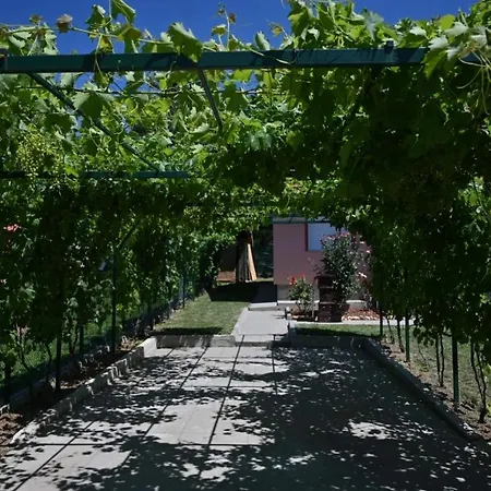 Teja-seosko Turisticko Domacinstvo