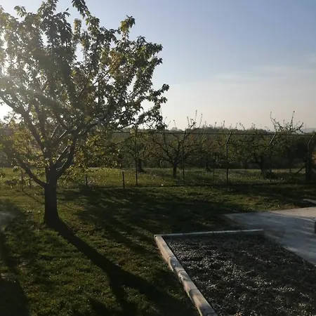 Teja-seosko Turisticko Domacinstvo *