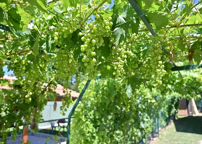 Villa Teja-seosko Turisticko Domacinstvo